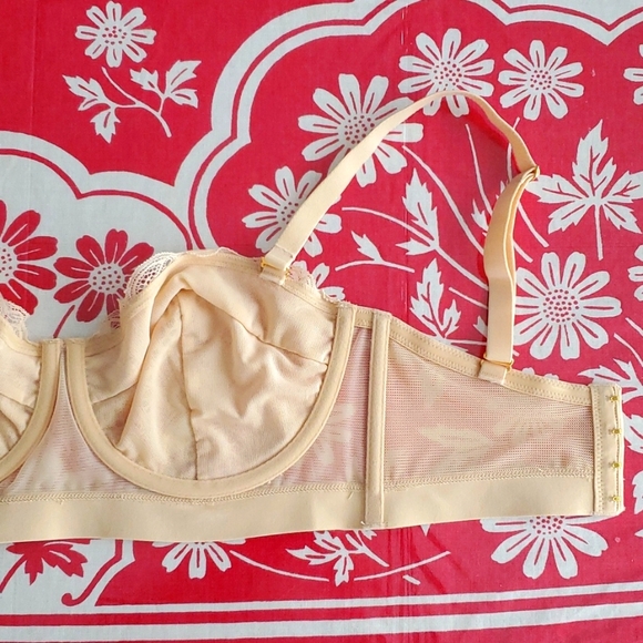 3/$25 NWOT Lively strapless bra sz34dd (straps included) - Picture 4 of 10